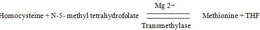 methionine is synthesized